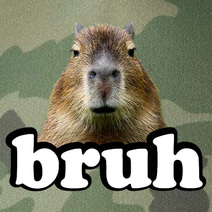 Bruh Capybara Meme Funny Bruh Saying Legacy Tie Dye Trucker Hat