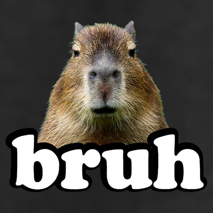 Bruh Capybara Meme Funny Bruh Saying 7 Panel Mesh Trucker Snapback Hat
