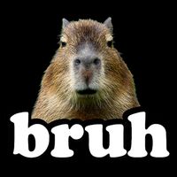 Bruh Capybara Meme Funny Bruh Saying Bag