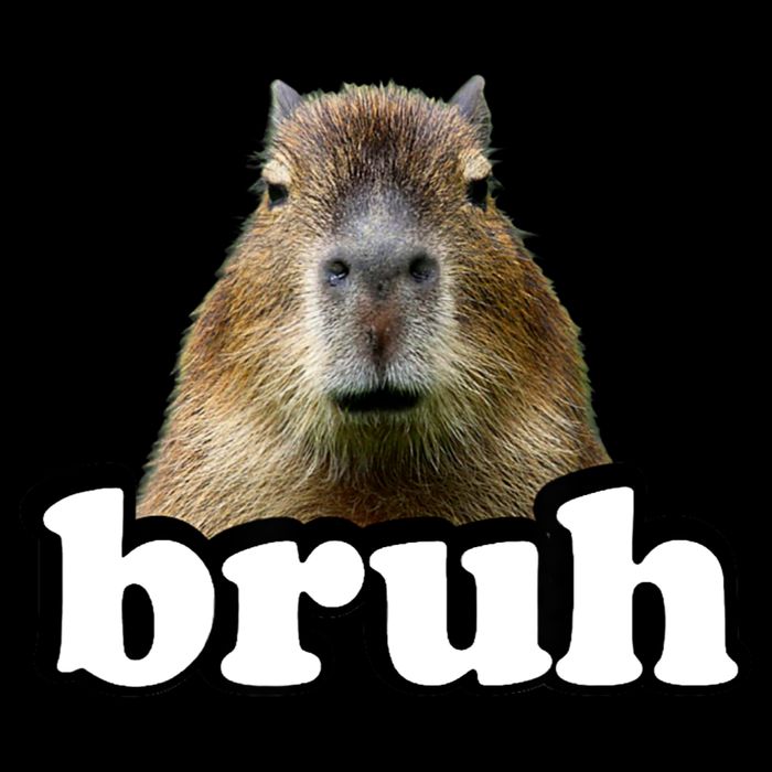 Bruh Capybara Meme Funny Bruh Saying Bag