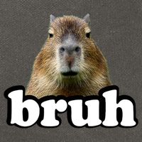 Bruh Capybara Meme Funny Bruh Saying Cotton Canvas Backpack