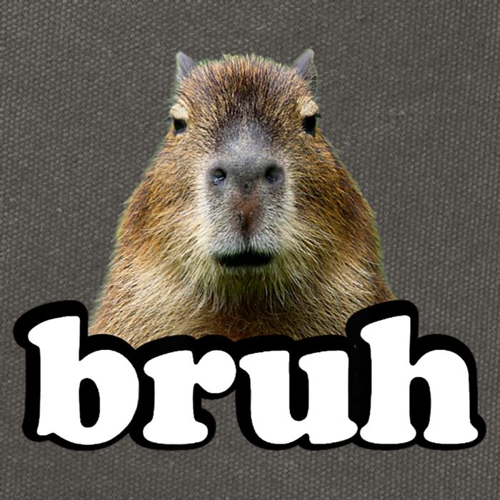 Bruh Capybara Meme Funny Bruh Saying Cotton Canvas Backpack