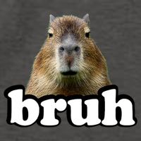 Bruh Capybara Meme Funny Bruh Saying Vector Backpack