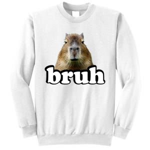 Bruh Capybara Meme Funny Bruh Saying Sweatshirt