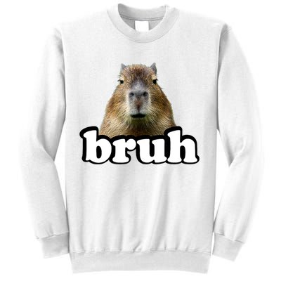 Bruh Capybara Meme Funny Bruh Saying Sweatshirt