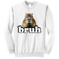 Bruh Capybara Meme Funny Bruh Saying Sweatshirt