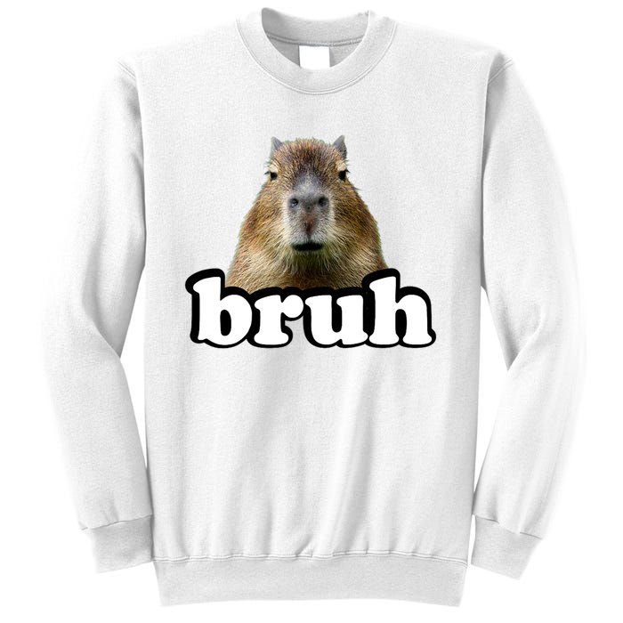 Bruh Capybara Meme Funny Bruh Saying Sweatshirt