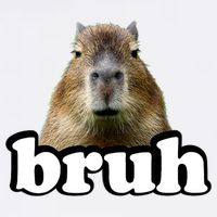 Bruh Capybara Meme Funny Bruh Saying Bucket Hat
