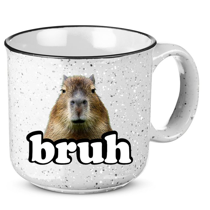 Bruh Capybara Meme Funny Bruh Saying 15oz Campfire Ceramic Mug