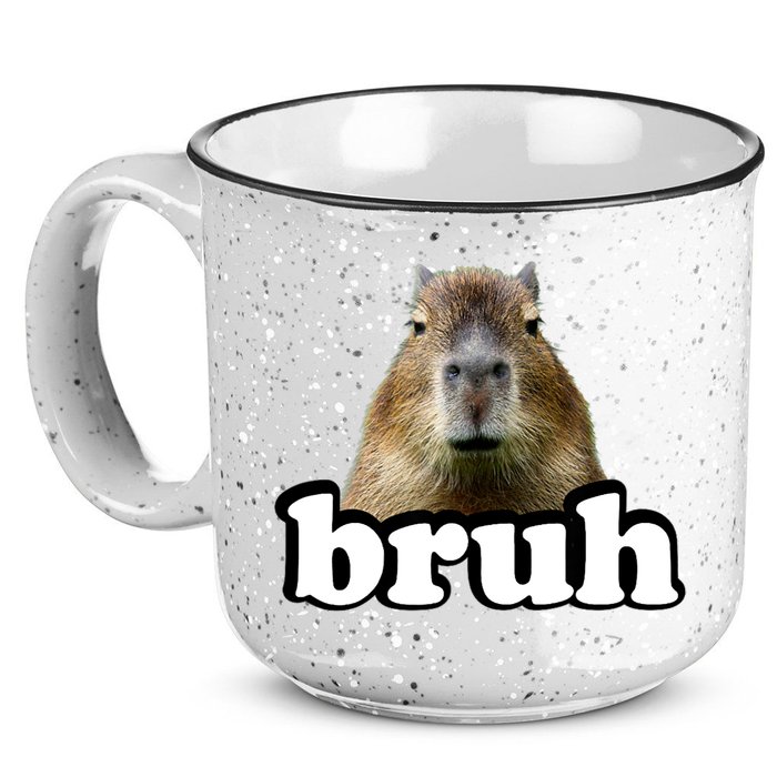 Bruh Capybara Meme Funny Bruh Saying 15oz Campfire Ceramic Mug