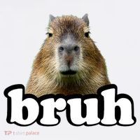 Bruh Capybara Meme Funny Bruh Saying Premium T-Shirt