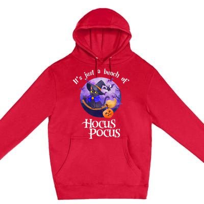 Black Cat Moon Funny Halloween Costume Bunch Of Hocus Pocus Premium Pullover Hoodie