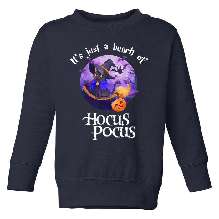 Black Cat Moon Funny Halloween Costume Bunch Of Hocus Pocus Toddler Sweatshirt