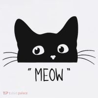 Black Cat Meow Cat Meow Kitty Funny Cats Kitty Poster