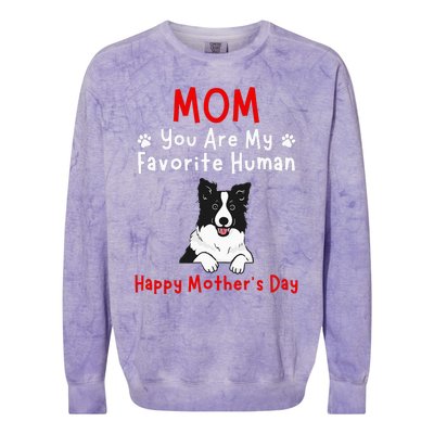 Border Collie Mom You Are My Favorite Human MotherS Day Colorblast Crewneck Sweatshirt