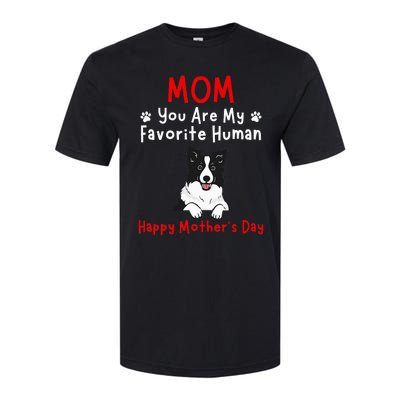 Border Collie Mom You Are My Favorite Human MotherS Day Softstyle CVC T-Shirt