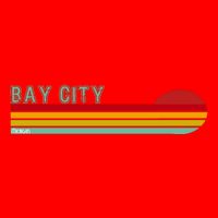 Bay City Michigan Flatbill Hat