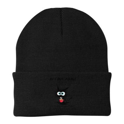 Black Cat My Four Moods I Need Coffee I Need A Nap Coffee Beanie