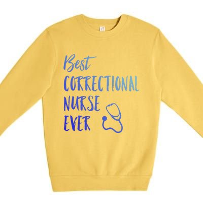 Best Correctional Nurse Ever National Nurses Week Gift Premium Crewneck Sweatshirt