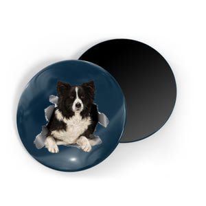 Border Collie Orn Cloth Funny Dag Lover Cat Owner Dog Magnet