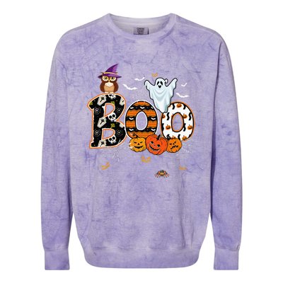 Boo Creepy Owl Pumpkin Ghost Funny Halloween Costume Colorblast Crewneck Sweatshirt