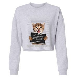 Bad Cat Prison Jail Catnip Made Me Do It Prisoner Funny Cat Gift Cropped Pullover Crew