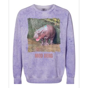 Baby Cute Pygmy Hippo Moo Deng Funny Gift Colorblast Crewneck Sweatshirt