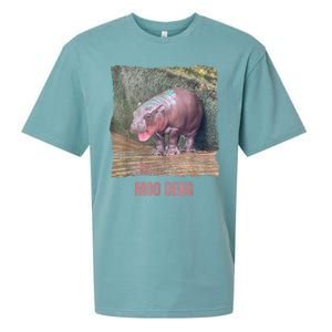 Baby Cute Pygmy Hippo Moo Deng Funny Gift Sueded Cloud Jersey T-Shirt