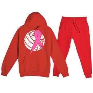 Breast Cancer Pink Ribbon Volleyball Awareness Costume Premium Hooded Sweatsuit Set