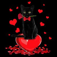 Black Cat Red Rose Valentines Day 16 in Basic Backpack