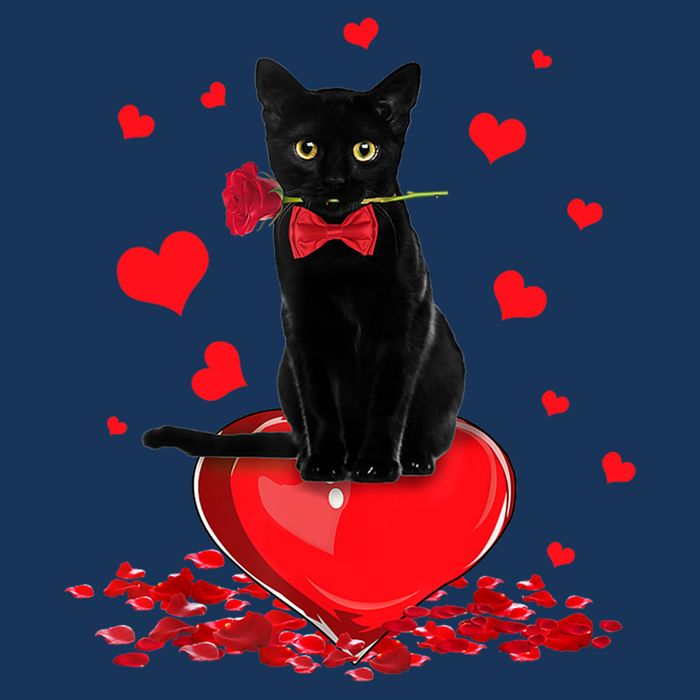 Black Cat Red Rose Valentines Day Infant Baby Jersey Bodysuit