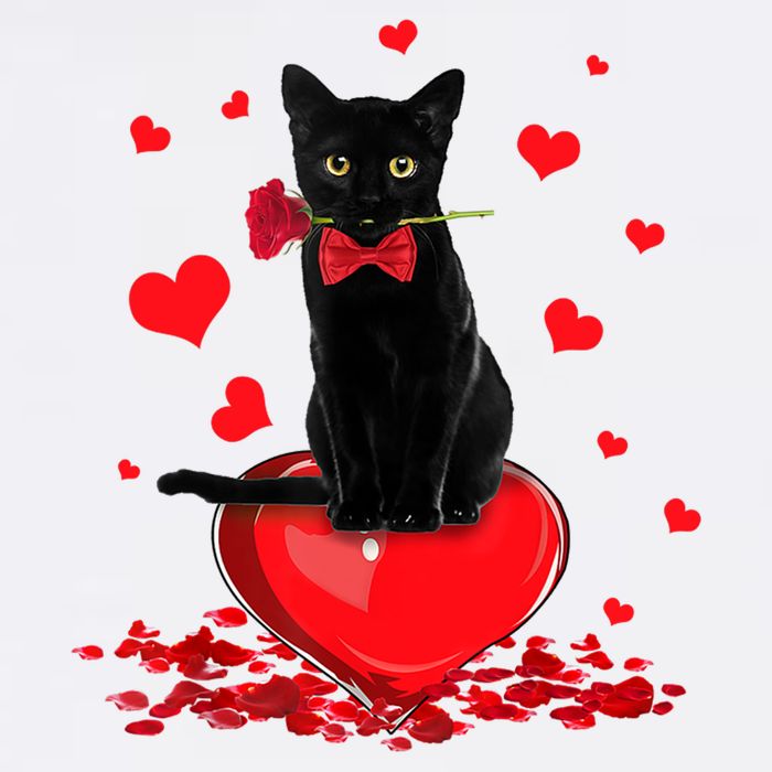 Black Cat Red Rose Valentines Day Crop Top