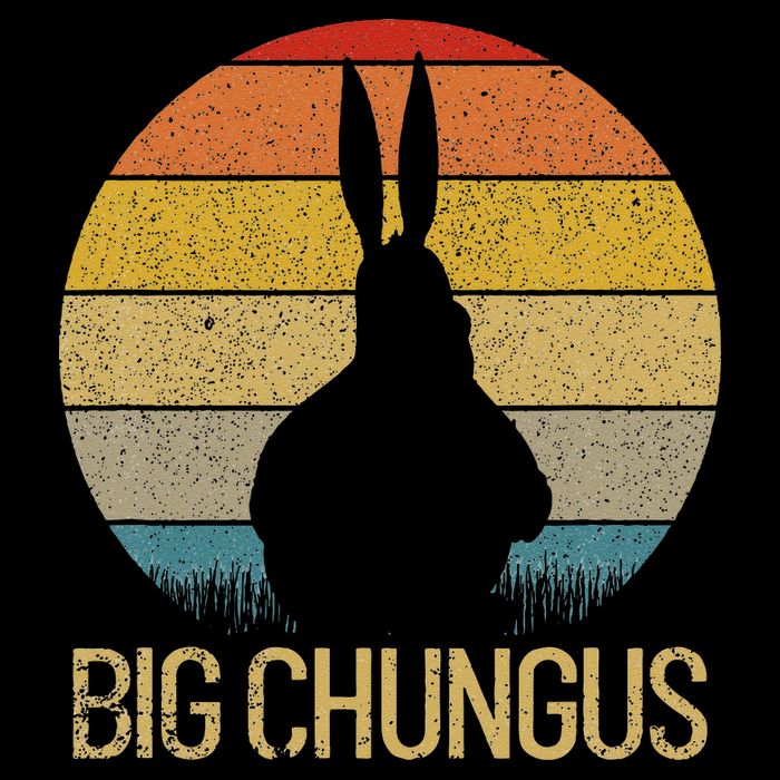 Big Chungus Retro Sunset Vintage Dank Meme Big Chungus Cooling Performance Crew T-Shirt