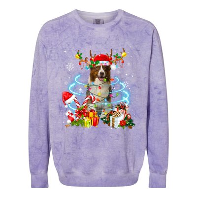 Border Collie Reindeer Christmas Tree Lights Pajama Dog Xmas Gift Colorblast Crewneck Sweatshirt