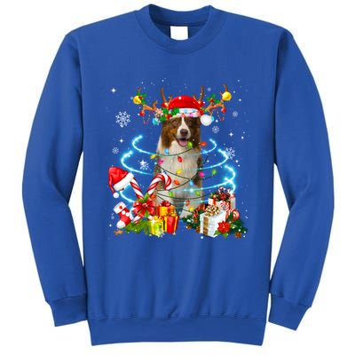 Border Collie Reindeer Christmas Tree Lights Pajama Dog Xmas Gift Sweatshirt