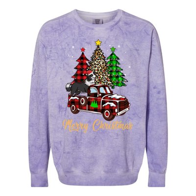 Border Collie Riding Red Truck Xmas Merry Christmas Gift Colorblast Crewneck Sweatshirt