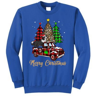 Border Collie Riding Red Truck Xmas Merry Christmas Gift Sweatshirt