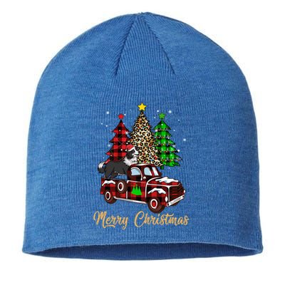 Border Collie Riding Red Truck Xmas Merry Christmas Gift Sustainable Beanie