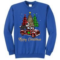 Border Collie Riding Red Truck Xmas Merry Christmas Gift Tall Sweatshirt