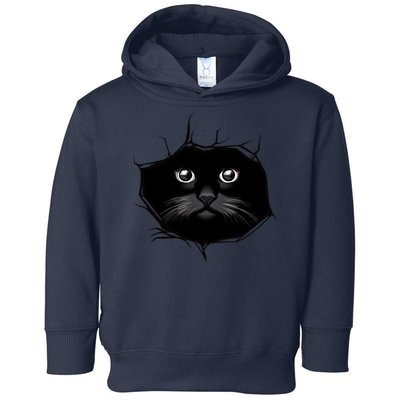 Black Cat Stares At You Cat Eyes Toddler Hoodie