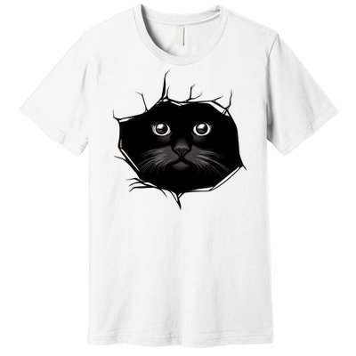 Black Cat Stares At You Cat Eyes Premium T-Shirt