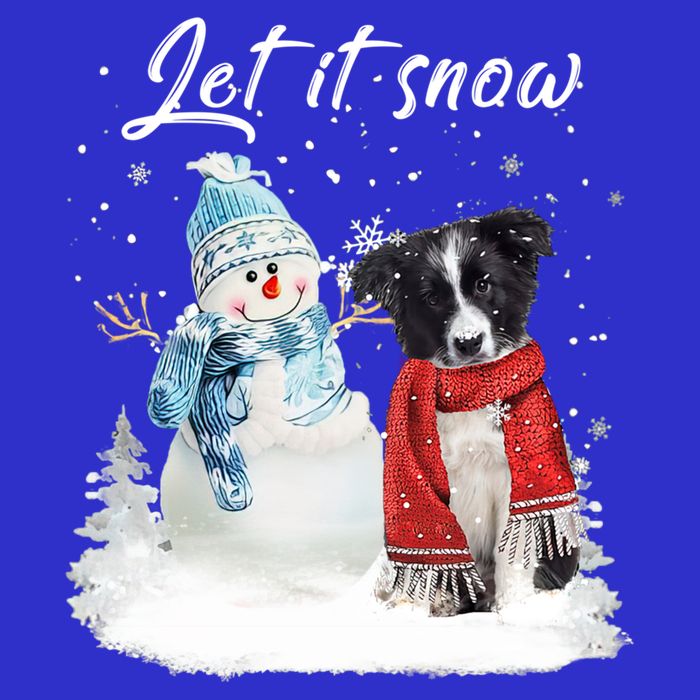 Border Collie Santa Dog Christmas Snow Xmas Pajama Meaningful Gift Bag