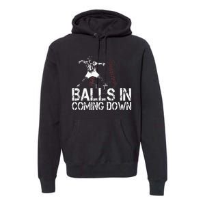 Baseball Catcher Softball Catcher Baseball Fan Premium Hoodie