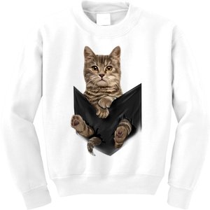 Brown Cat Sits In Pocket Cats Gifts Kids Sweatshirt