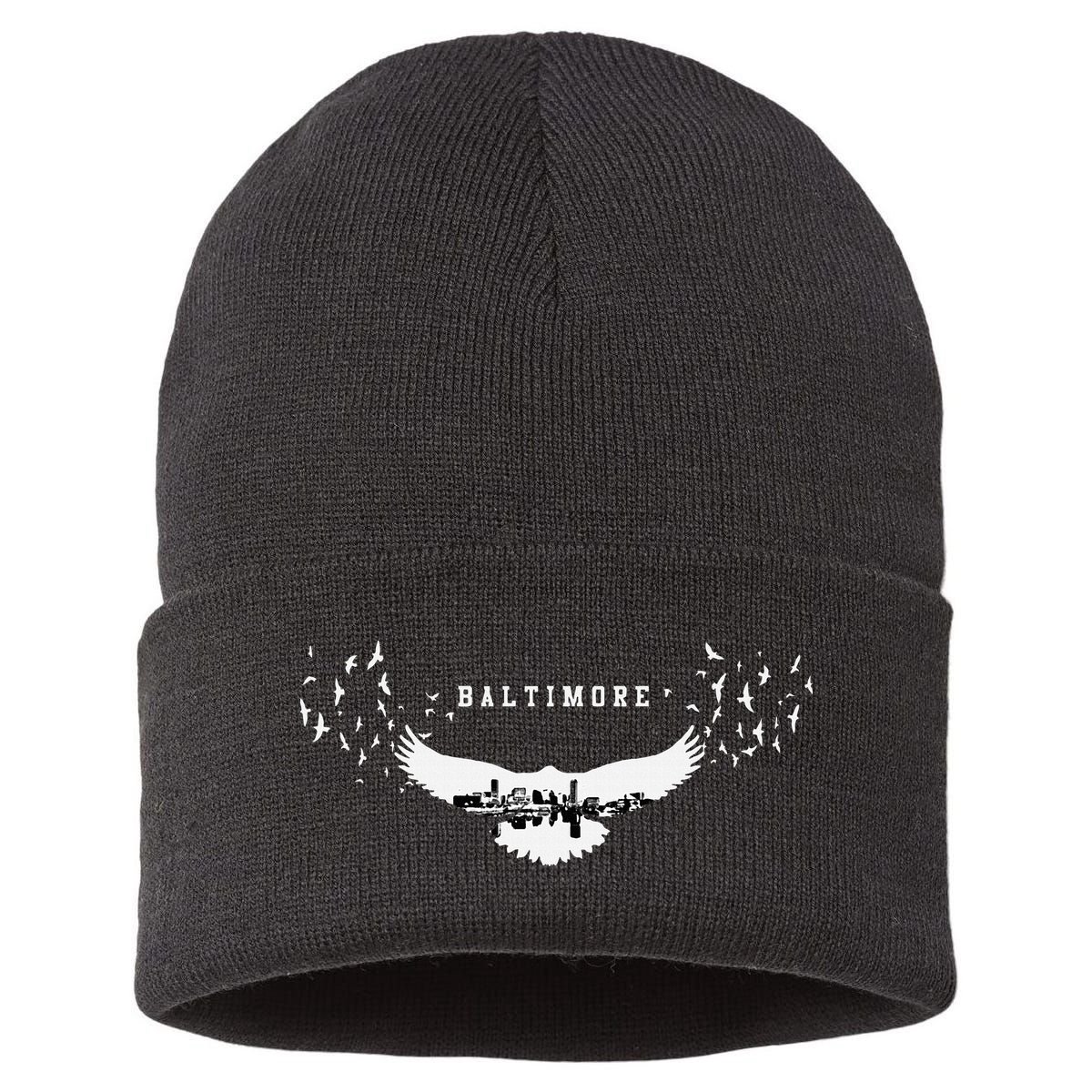Baltimore City Skyline Inside Raven Silhouette Sustainable Knit Beanie