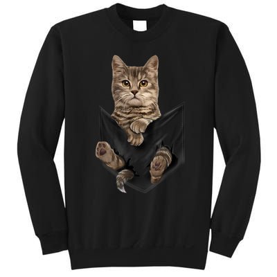 Brown Cat Sits In Pocket TShirt Cats Tee Shirt Gifts Sweatshirt