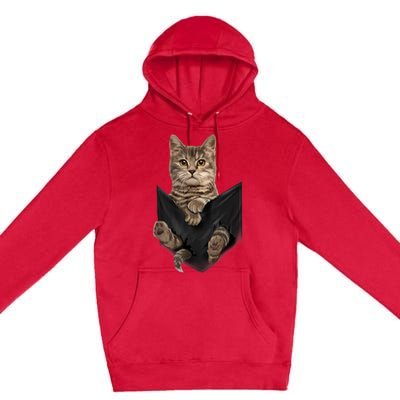 Brown Cat Sits In Pocket TShirt Cats Tee Shirt Gifts Premium Pullover Hoodie