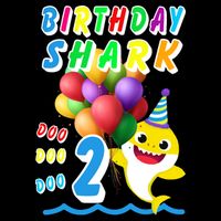 Baby Cute Shark Birthday Boy 2 Year Old Kids Colorblock Raglan Jersey