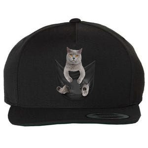 Black Cat Sits In Pocket Cats Tee Gift Meowy Gift Wool Snapback Cap