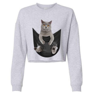 Black Cat Sits In Pocket Cats Tee Gift Meowy Gift Cropped Pullover Crew